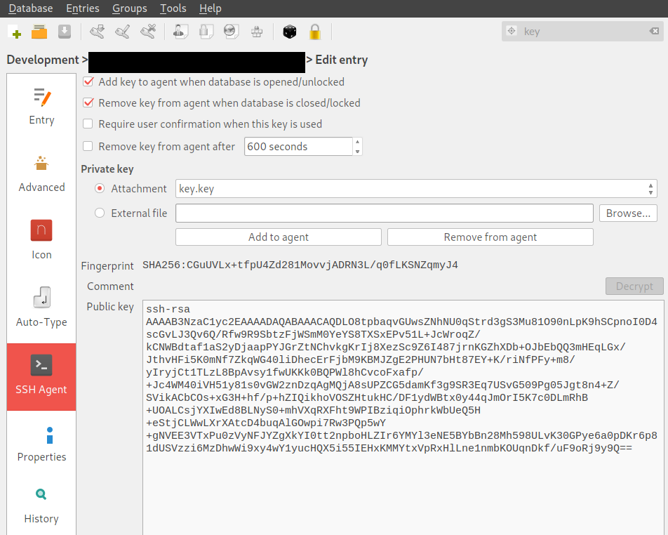The "SSH Agent" pane showing an attached key